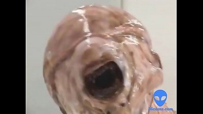 Aliens plumb korean lady