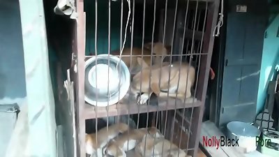 She Got smashed stiff  After The licking Of Dog Meat With Street Niggaz(Threesome) Dog Meat Gives More force To screw More