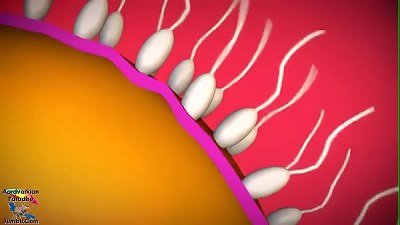 [aardvarkianparadise]-Breed your queen