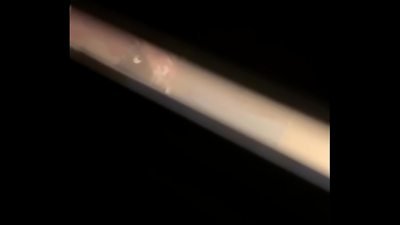 ãƒãƒ¼ãƒ•é¡”ã€€ãŠé¢¨å‘‚1